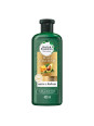 CHA.HERBAL ESSENCES PEQUI AGUACATE 400ML          