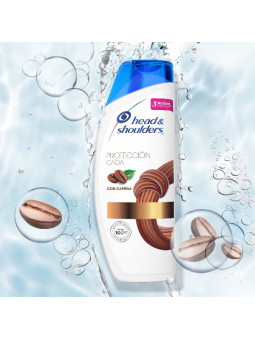 CHA.HEAD-SHOULDERS PROTEC.CAIDA 375 ML TRS