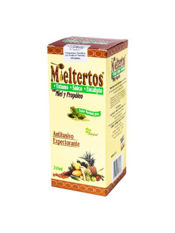 MIELTERTOS JARABE 240 ML NF