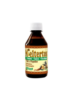 MIELTERTOS JARABE 240 ML NF