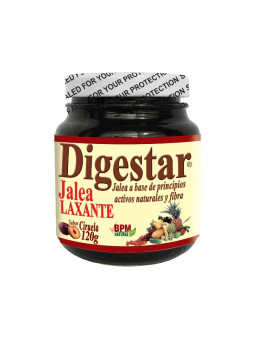 DIGESTAR JALEA 120 GR